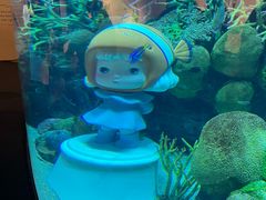 -暹罗海洋世界