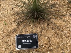 -东莞植物园