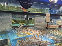 -徐记海鲜(南油永新汇店)