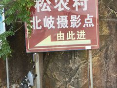 -北岐滩涂