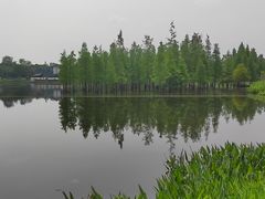 -白鹭湾湿地公园