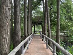 -东湖落雁景区