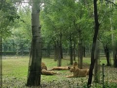 -秦皇岛野生动物园
