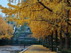-玲珑塔公园
