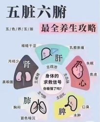 -雅曼妮spa美容养生