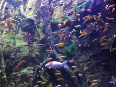 -杭州开元森泊度假乐园