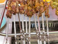 -古彭7只羊·招牌白串·碳锅羊肉旗舰店