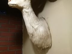 -六合顺