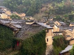-杨家堂村
