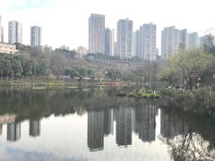 -重庆彩云湖湿地公园