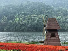 -广州市石门国家森林公园