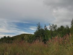 -长虫山生态公园风景林