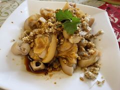 -百利鸽王(紫薇路店)