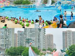-海合安成都极地海洋公园