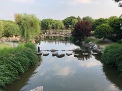 -苏州吴宫泛太平洋酒店