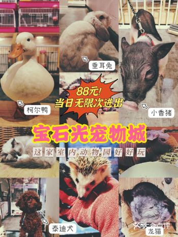 88元当日无限次进出！这家市内动物园好好玩