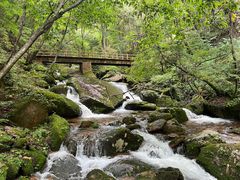 -五女峰国家森林公园