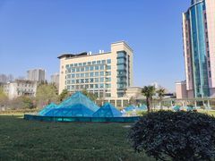 -西京医院