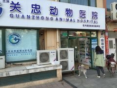 -瑞派·关忠动物医院·猫专科·犬专科(三环新城店)
