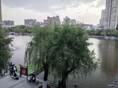 -文瀛公园