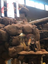 -卡通尼·Safari非洲探索乐园·生日会(金桥国际商业广场店)