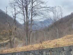 -土司宴