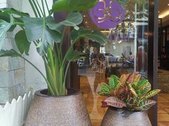 -阿诺泰·泰国餐厅(棕北店)