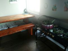 -东方名猫馆·英短金渐层布偶猫舍(环线广场1号楼店)