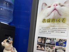 -芭比堂动物医院(广州爱宠下渡路分院)