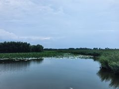 -白渔泡湿地公园