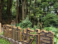 -广州市帽峰山景区