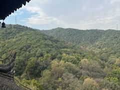 -杭州半山国家森林公园