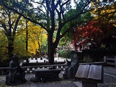 -青岛崂山太清宫