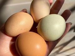 -兰剑驾校(汉阳校区)