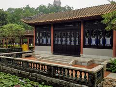-顺峰山公园