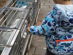 -贵州森林野生动物园
