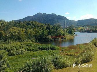 看惯了高楼大厦是否想看看青山绿水，深圳有着这样一个仙