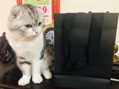 -圣罗兰SAINT LAURENT(佛罗伦萨小镇店)