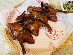 -百利鸽王(紫薇路店)