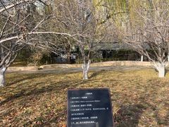 -元大都城垣遗址公园