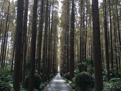 -上海怡沁园度假酒店