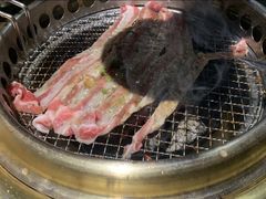 -火炉火自助餐(枫蓝国际店)