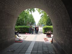 -镇淮楼