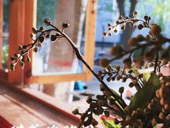 -猫爷的腔调·黔小馆(交大医学住宅区店)