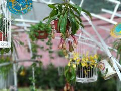 -东南花都花博园