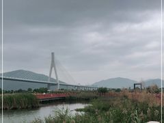 -芒洲湿地公园