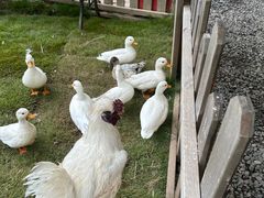 -HERRE·FARM 赫尔露营农场·团建聚会包场