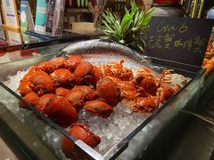 -圆顶阁西餐厅(郑州索菲特国际饭店 )