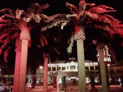 -仁爱团泊湖温泉中心