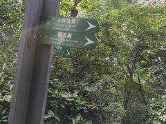 -杭州半山国家森林公园